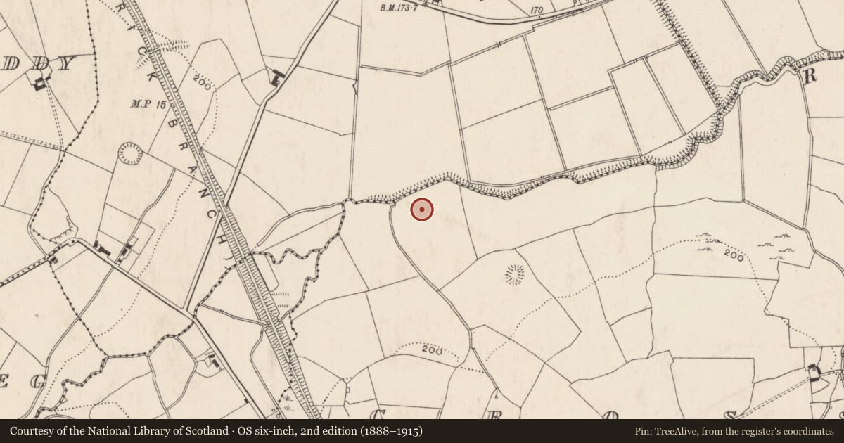 Ordnance Survey six-inch map, 2nd edition (1888–1915) covering the location of Enclosure, Cross, County Limerick, with a pin at the register's coordinates