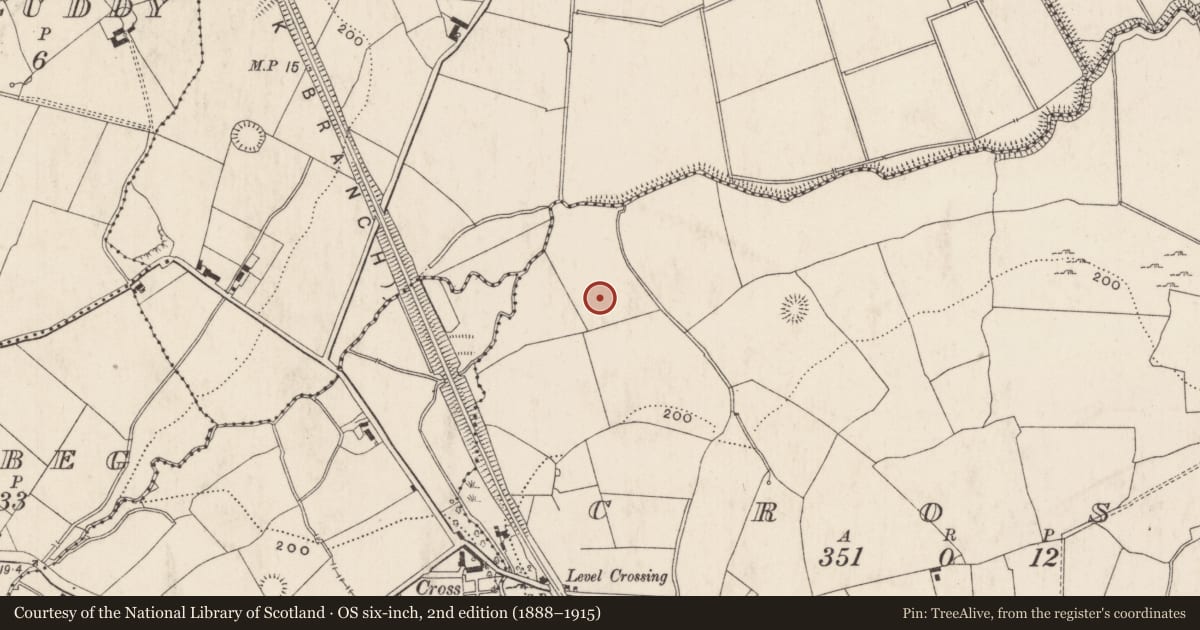 Ordnance Survey six-inch map, 2nd edition (1888–1915) covering the location of Barrow - ring-barrow, Cross, County Limerick, with a pin at the register's coordinates