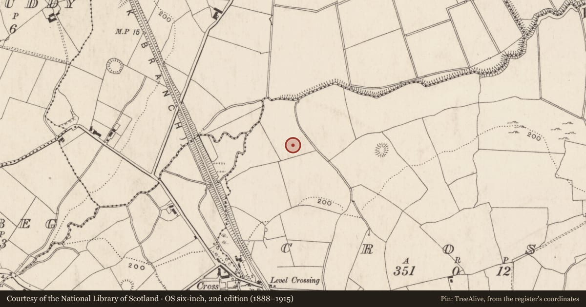 Ordnance Survey six-inch map, 2nd edition (1888–1915) covering the location of Barrow - ring-barrow, Cross, County Limerick, with a pin at the register's coordinates