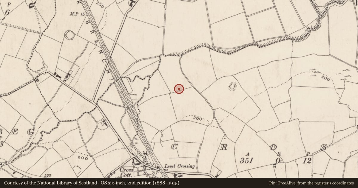 Ordnance Survey six-inch map, 2nd edition (1888–1915) covering the location of Barrow - ring-barrow, Cross, County Limerick, with a pin at the register's coordinates