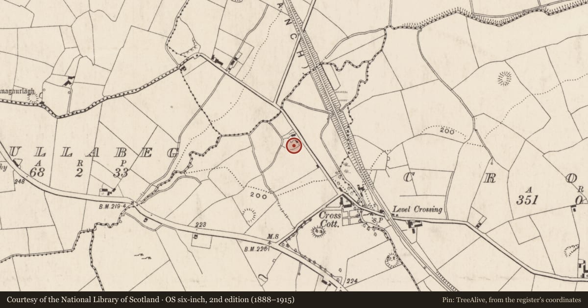 Ordnance Survey six-inch map, 2nd edition (1888–1915) covering the location of Enclosure, Knockballyfookeen, County Limerick, with a pin at the register's coordinates