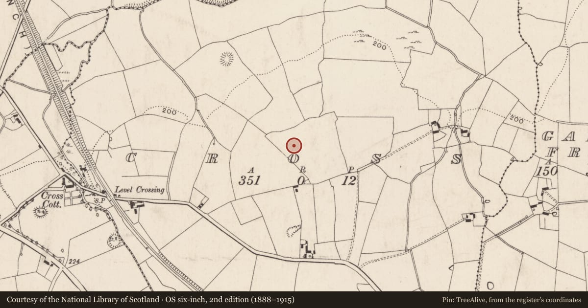 Ordnance Survey six-inch map, 2nd edition (1888–1915) covering the location of Enclosure, Cross, County Limerick, with a pin at the register's coordinates