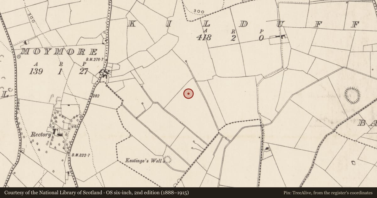 Ordnance Survey six-inch map, 2nd edition (1888–1915) covering the location of Barrow - ditch barrow, Kilduff, County Limerick, with a pin at the register's coordinates