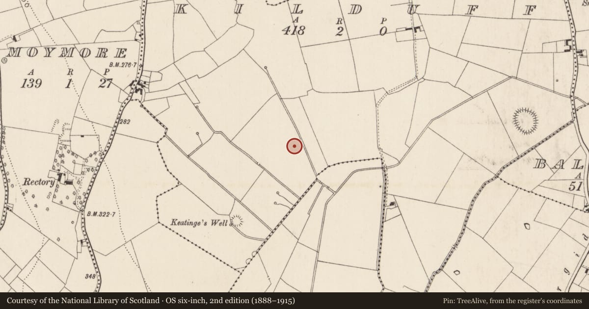 Ordnance Survey six-inch map, 2nd edition (1888–1915) covering the location of Barrow - ditch barrow, Kilduff, County Limerick, with a pin at the register's coordinates