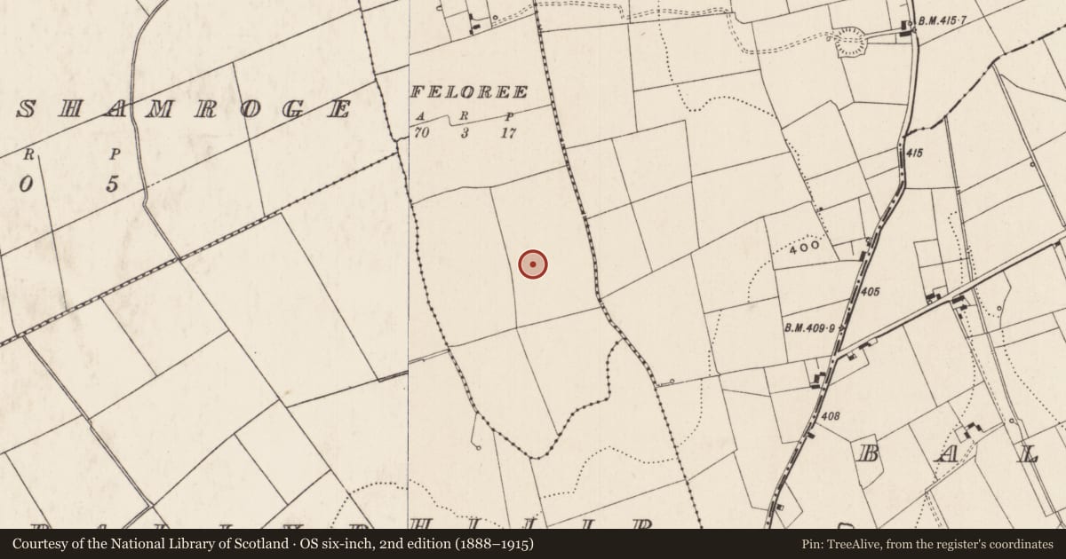 Ordnance Survey six-inch map, 2nd edition (1888–1915) covering the location of Barrow - unclassified, Feloree, County Limerick, with a pin at the register's coordinates