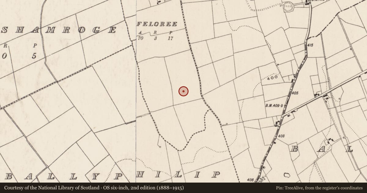 Ordnance Survey six-inch map, 2nd edition (1888–1915) covering the location of Barrow - unclassified, Feloree, County Limerick, with a pin at the register's coordinates