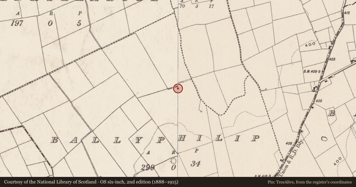 Ordnance Survey six-inch map, 2nd edition (1888–1915) covering the location of Barrow - ring-barrow, Ballyphilip, County Limerick, with a pin at the register's coordinates
