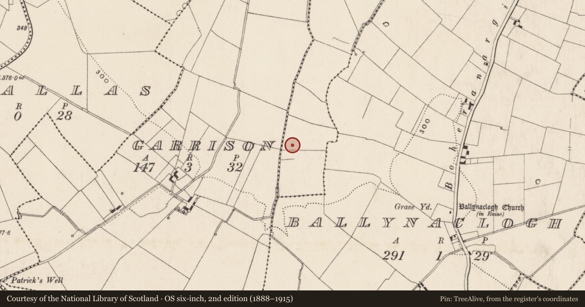 Ordnance Survey six-inch map, 2nd edition (1888–1915) covering the location of Barrow - ring-barrow, Kilduff, County Limerick, with a pin at the register's coordinates