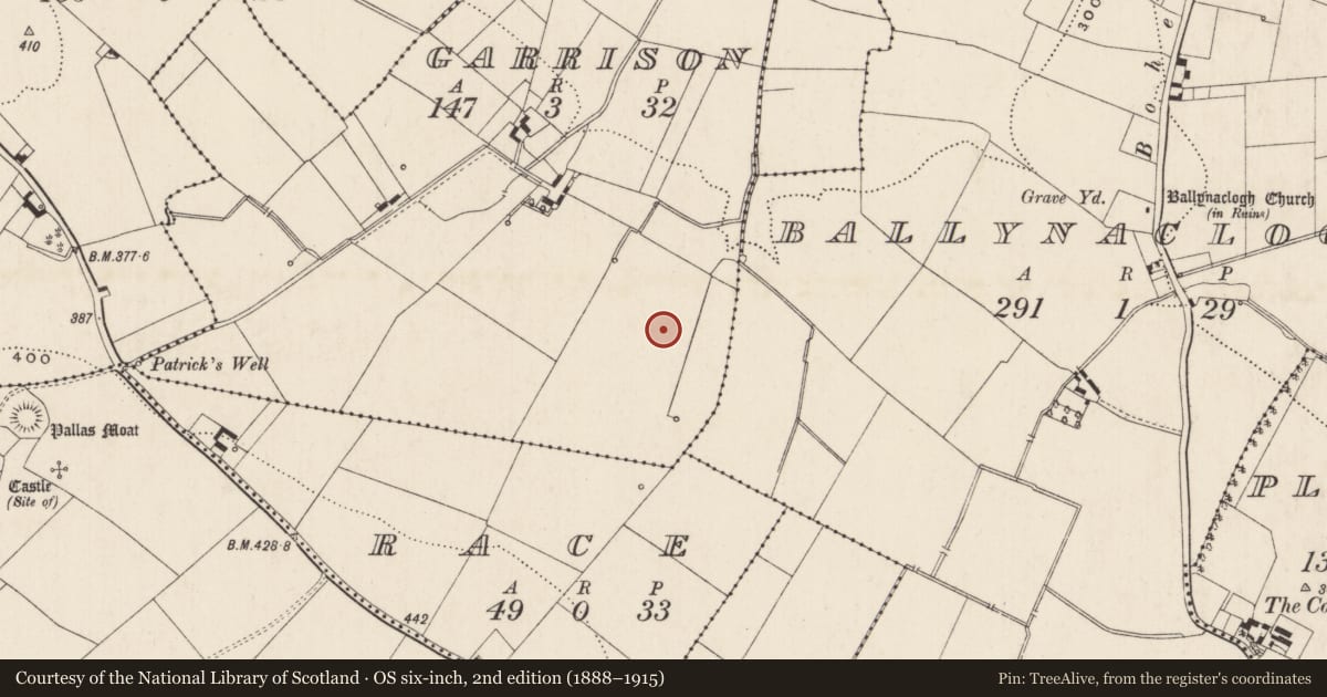 Ordnance Survey six-inch map, 2nd edition (1888–1915) covering the location of Field system, Garrison, County Limerick, with a pin at the register's coordinates