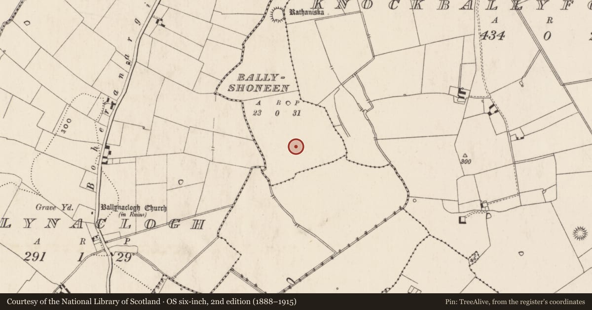 Ordnance Survey six-inch map, 2nd edition (1888–1915) covering the location of Barrow - ring-barrow, Ballyshoneen, County Limerick, with a pin at the register's coordinates