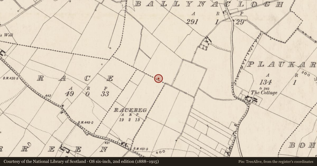 Ordnance Survey six-inch map, 2nd edition (1888–1915) covering the location of Barrow - ring-barrow, Ballynaclogh, County Limerick, with a pin at the register's coordinates