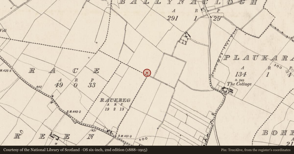 Ordnance Survey six-inch map, 2nd edition (1888–1915) covering the location of Barrow - ring-barrow, Ballynaclogh, County Limerick, with a pin at the register's coordinates