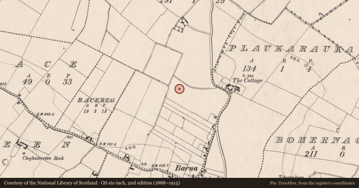 Ordnance Survey six-inch map, 2nd edition (1888–1915) covering the location of Enclosure, Ballynaclogh, County Limerick, with a pin at the register's coordinates