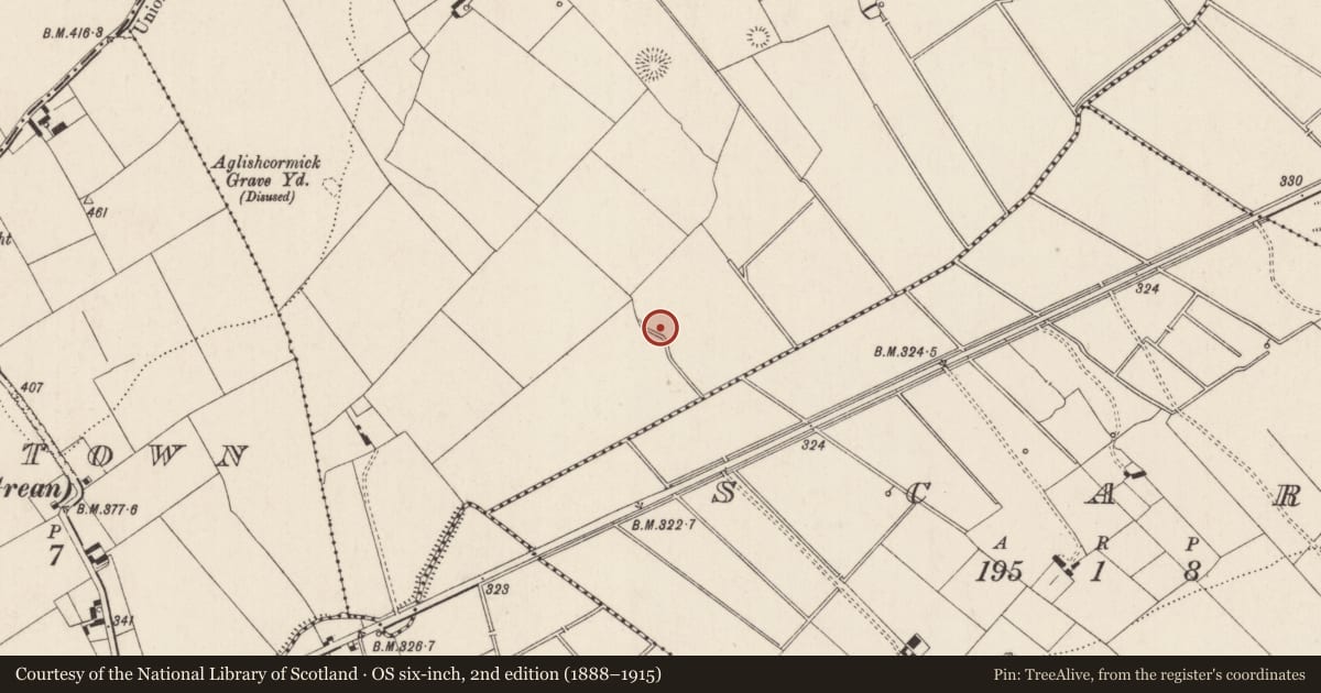 Ordnance Survey six-inch map, 2nd edition (1888–1915) covering the location of Barrow - unclassified, Ballynagally, County Limerick, with a pin at the register's coordinates