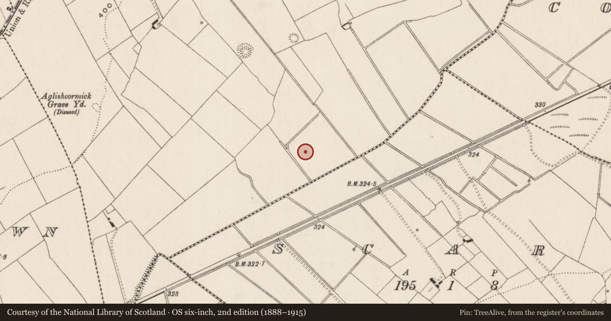 Ordnance Survey six-inch map, 2nd edition (1888–1915) covering the location of Cultivation ridges, Ballynagally, County Limerick, with a pin at the register's coordinates