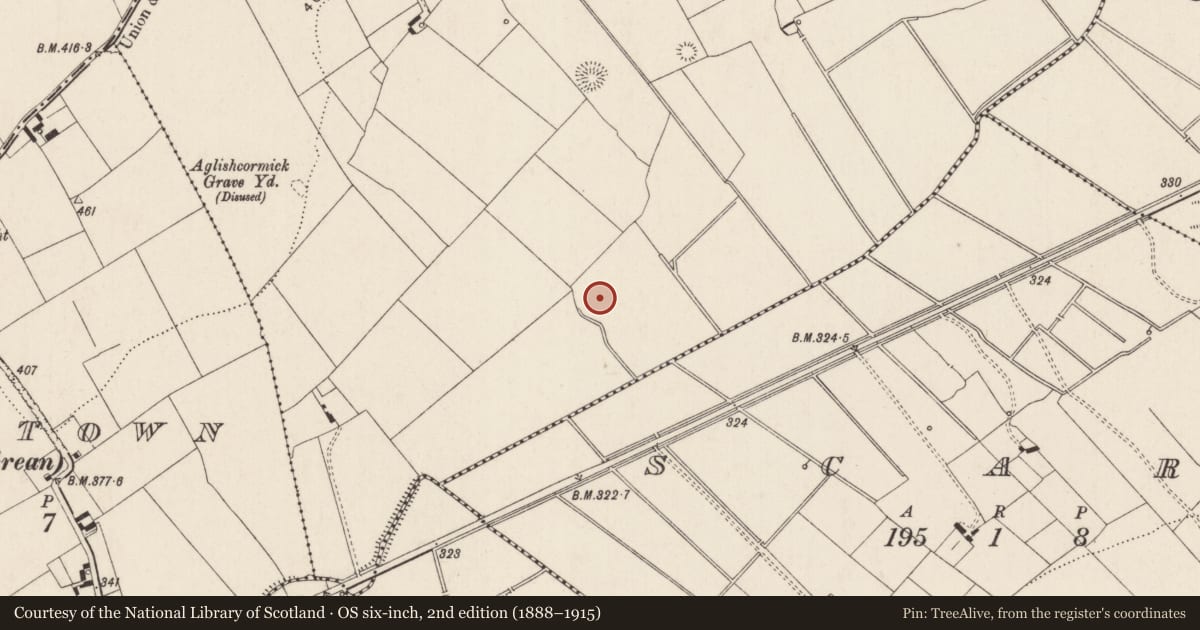 Ordnance Survey six-inch map, 2nd edition (1888–1915) covering the location of Barrow - unclassified, Ballynagally, County Limerick, with a pin at the register's coordinates
