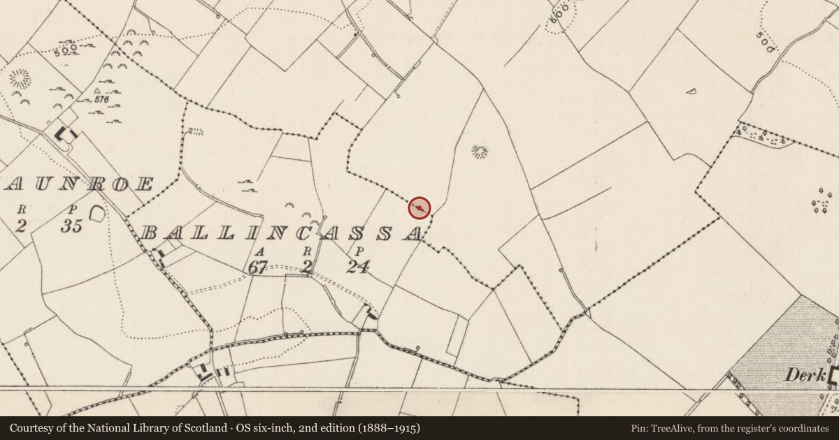 Ordnance Survey six-inch map, 2nd edition (1888–1915) covering the location of Enclosure, Cloghaderreen, County Limerick, with a pin at the register's coordinates