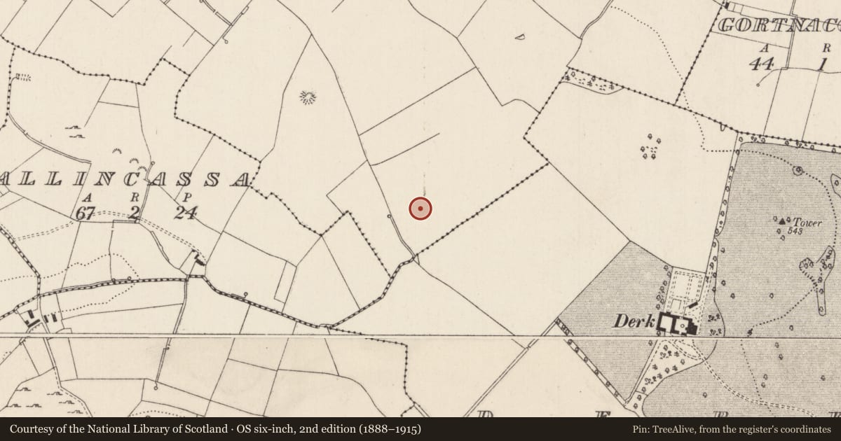 Ordnance Survey six-inch map, 2nd edition (1888–1915) covering the location of Field system, Cloghaderreen, County Limerick, with a pin at the register's coordinates