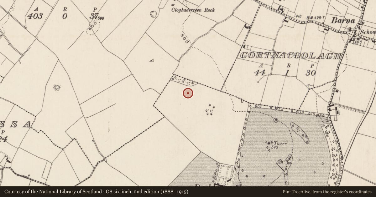 Ordnance Survey six-inch map, 2nd edition (1888–1915) covering the location of Barrow - ring-barrow, Derk, County Limerick, with a pin at the register's coordinates