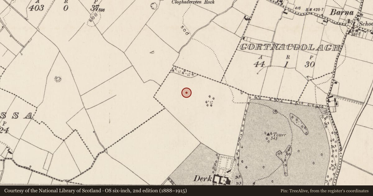 Ordnance Survey six-inch map, 2nd edition (1888–1915) covering the location of Barrow - pond barrow, Derk, County Limerick, with a pin at the register's coordinates
