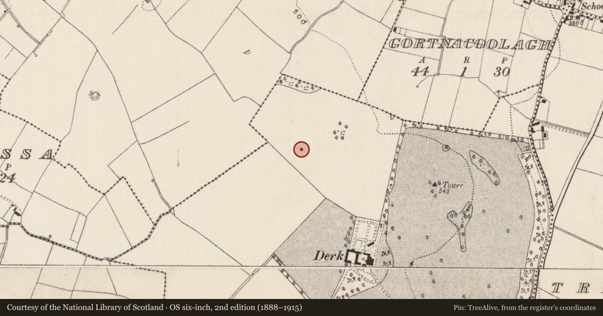 Ordnance Survey six-inch map, 2nd edition (1888–1915) covering the location of Barrow - ring-barrow, Derk, County Limerick, with a pin at the register's coordinates
