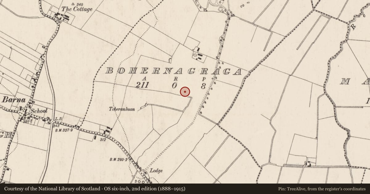 Ordnance Survey six-inch map, 2nd edition (1888–1915) covering the location of Barrow - ring-barrow, Bohernagraga, County Limerick, with a pin at the register's coordinates