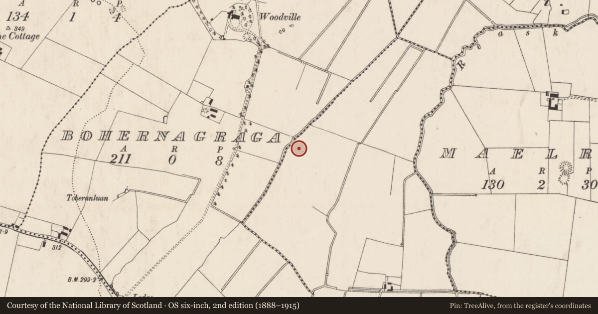 Ordnance Survey six-inch map, 2nd edition (1888–1915) covering the location of Enclosure, Newtown, County Limerick, with a pin at the register's coordinates