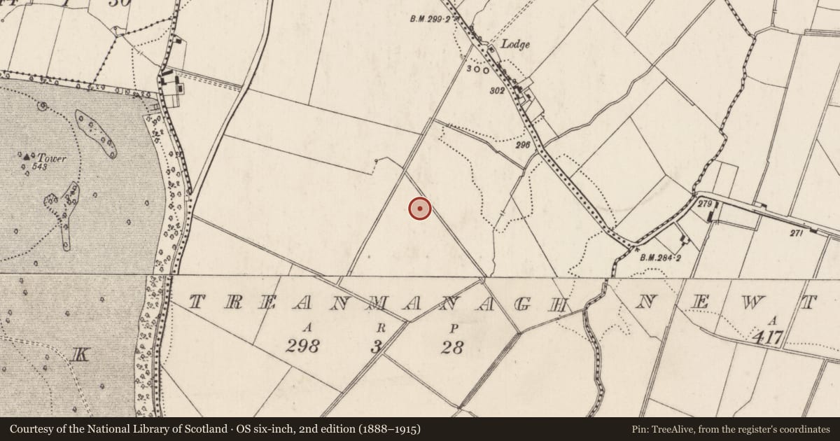 Ordnance Survey six-inch map, 2nd edition (1888–1915) covering the location of Moated site, Treanmanagh, County Limerick, with a pin at the register's coordinates