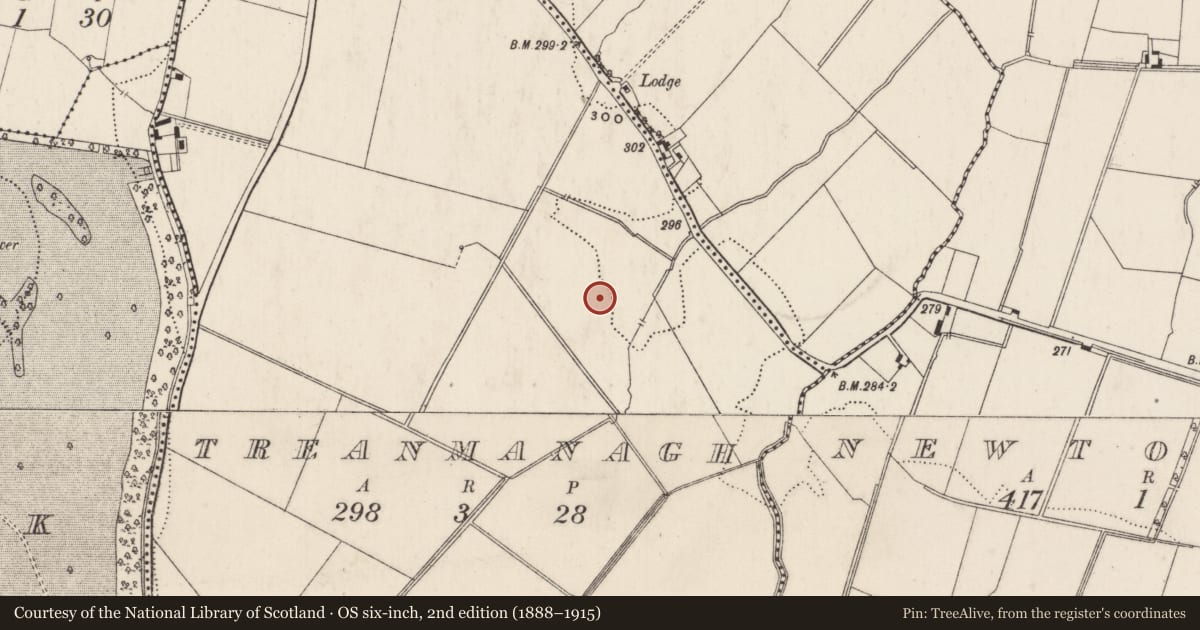Ordnance Survey six-inch map, 2nd edition (1888–1915) covering the location of Field system, Treanmanagh, County Limerick, with a pin at the register's coordinates