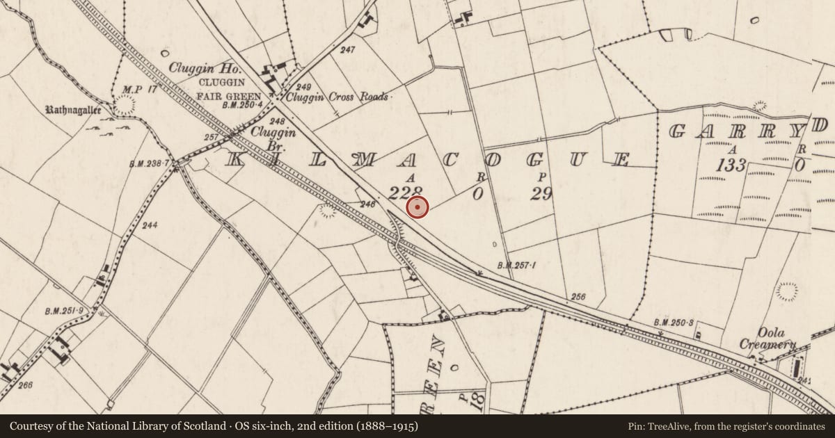 Ordnance Survey six-inch map, 2nd edition (1888–1915) covering the location of Mound, Kilmacogue, County Limerick, with a pin at the register's coordinates