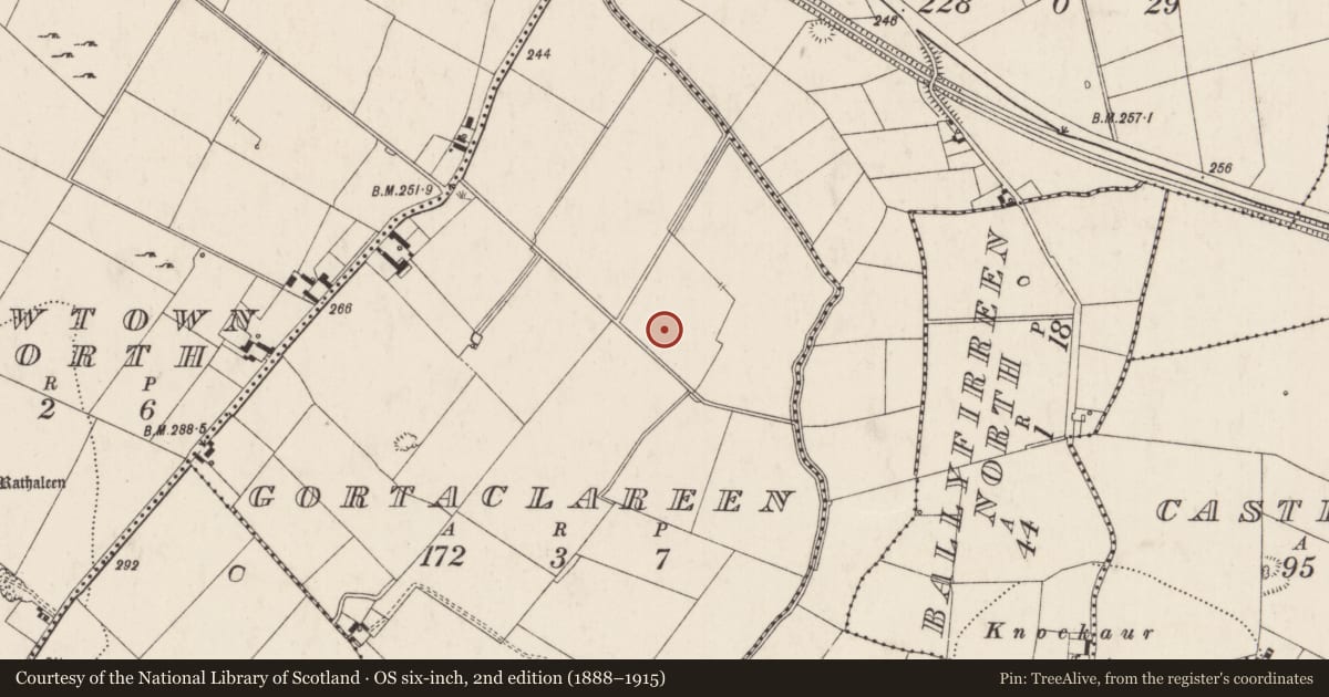 Ordnance Survey six-inch map, 2nd edition (1888–1915) covering the location of Barrow - ring-barrow, Gortaclareen, County Limerick, with a pin at the register's coordinates