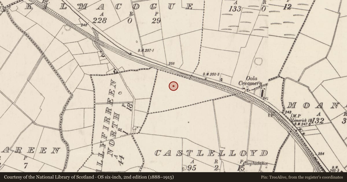 Ordnance Survey six-inch map, 2nd edition (1888–1915) covering the location of Enclosure, Garryduff, County Limerick, with a pin at the register's coordinates