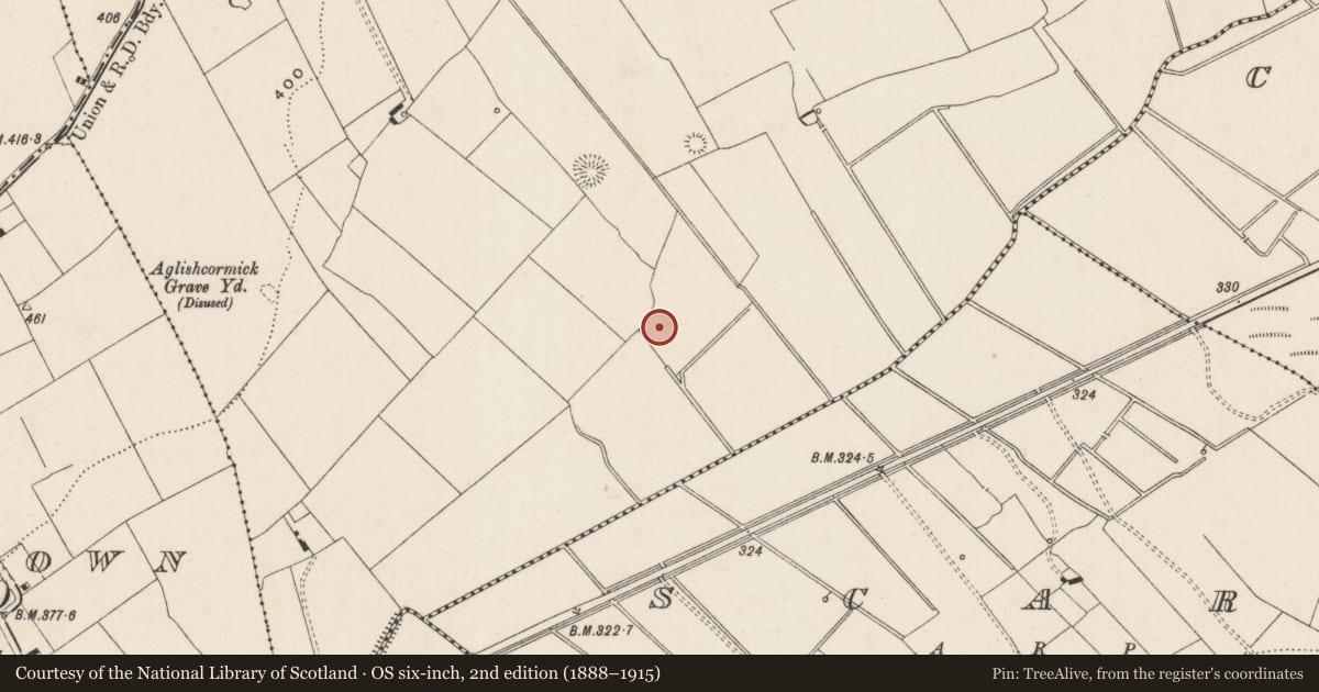 Ordnance Survey six-inch map, 2nd edition (1888–1915) covering the location of Enclosure, Ballynagally, County Limerick, with a pin at the register's coordinates