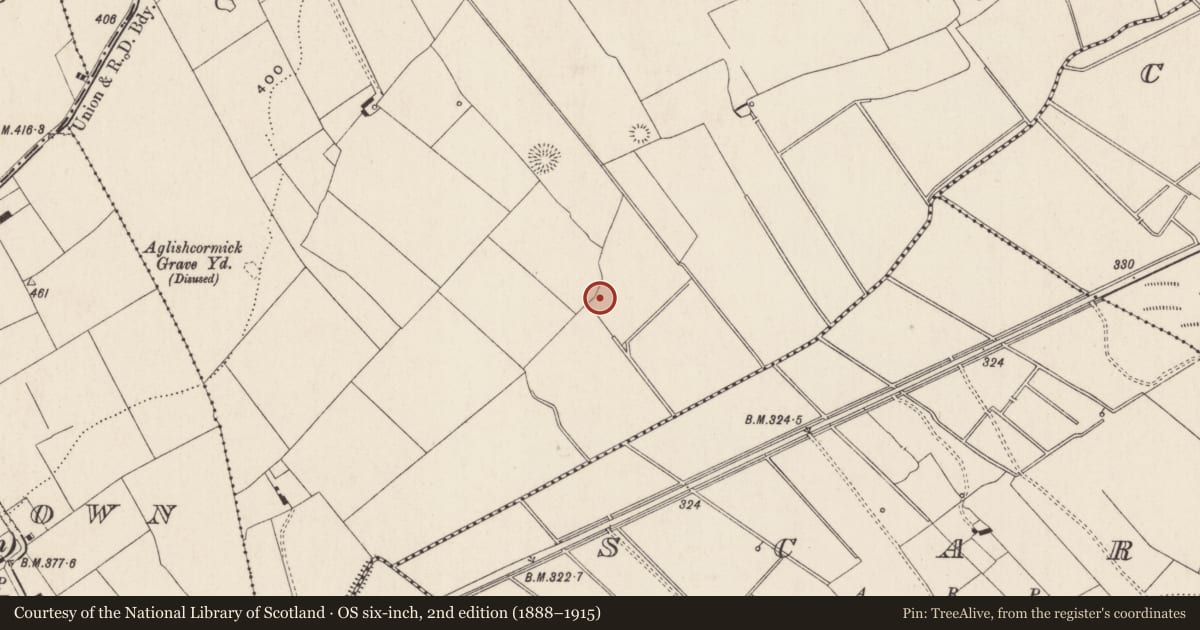 Ordnance Survey six-inch map, 2nd edition (1888–1915) covering the location of Barrow - ring-barrow, Ballynagally, County Limerick, with a pin at the register's coordinates