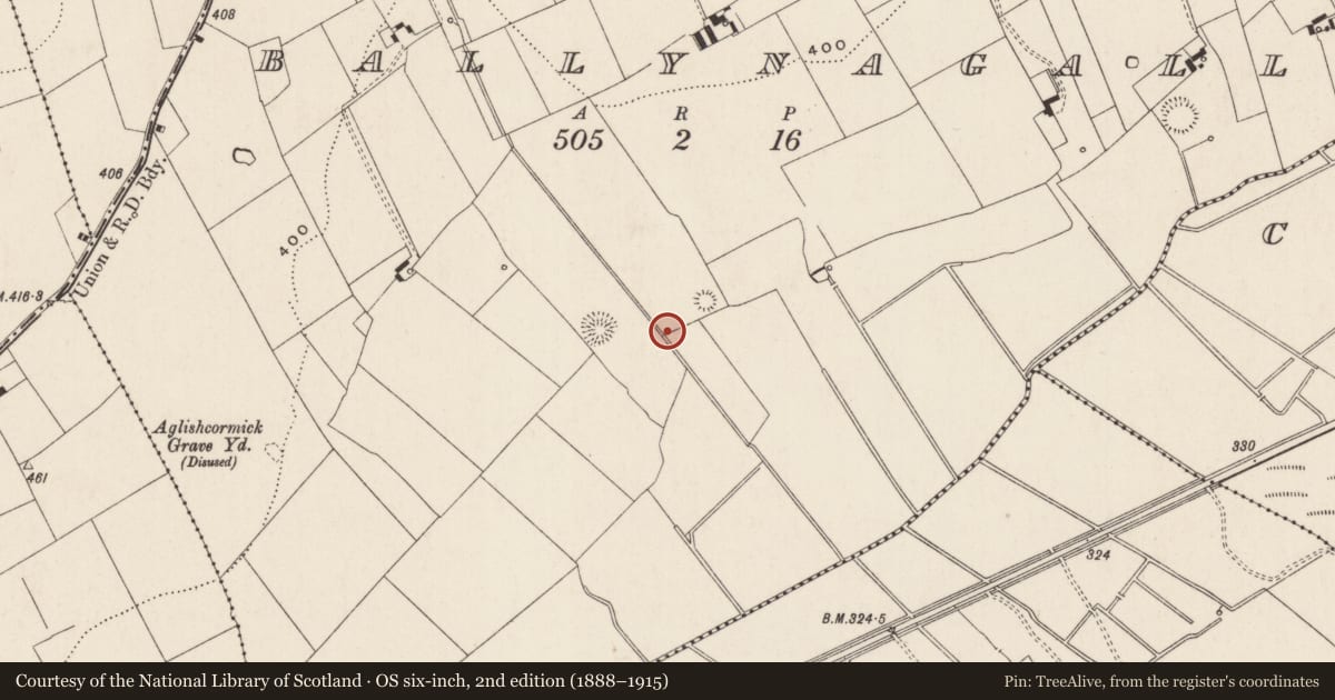 Ordnance Survey six-inch map, 2nd edition (1888–1915) covering the location of Barrow - ditch barrow, Ballynagally, County Limerick, with a pin at the register's coordinates