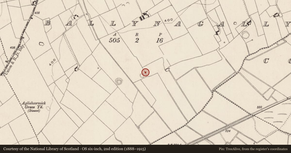 Ordnance Survey six-inch map, 2nd edition (1888–1915) covering the location of Barrow - ditch barrow, Ballynagally, County Limerick, with a pin at the register's coordinates