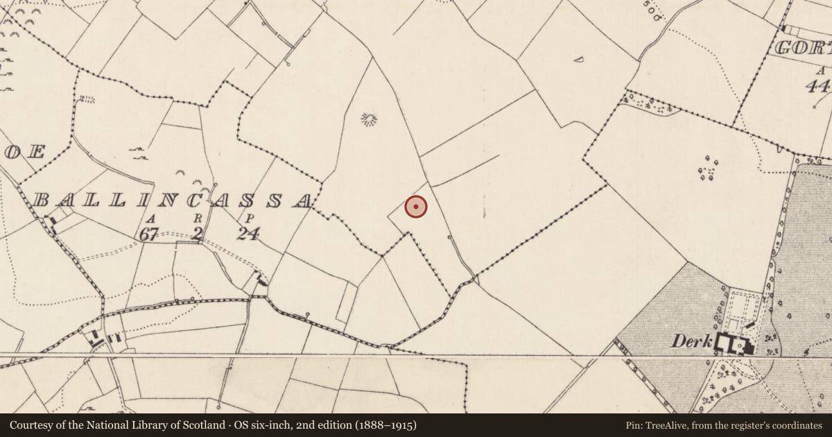 Ordnance Survey six-inch map, 2nd edition (1888–1915) covering the location of Barrow - ring-barrow, Cloghaderreen, County Limerick, with a pin at the register's coordinates