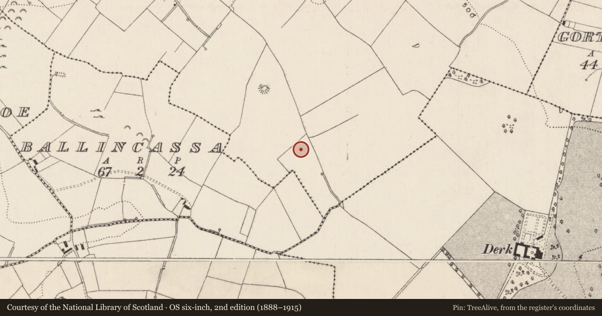 Ordnance Survey six-inch map, 2nd edition (1888–1915) covering the location of Barrow - ring-barrow, Cloghaderreen, County Limerick, with a pin at the register's coordinates