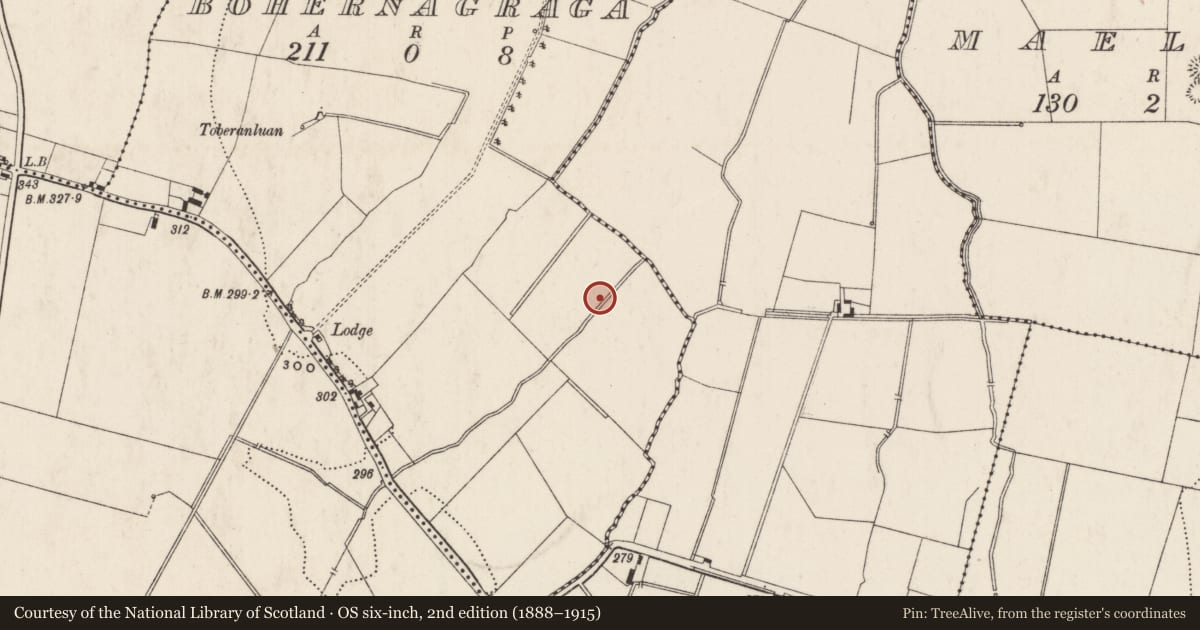 Ordnance Survey six-inch map, 2nd edition (1888–1915) covering the location of Barrow - ring-barrow, Bohernagraga, County Limerick, with a pin at the register's coordinates