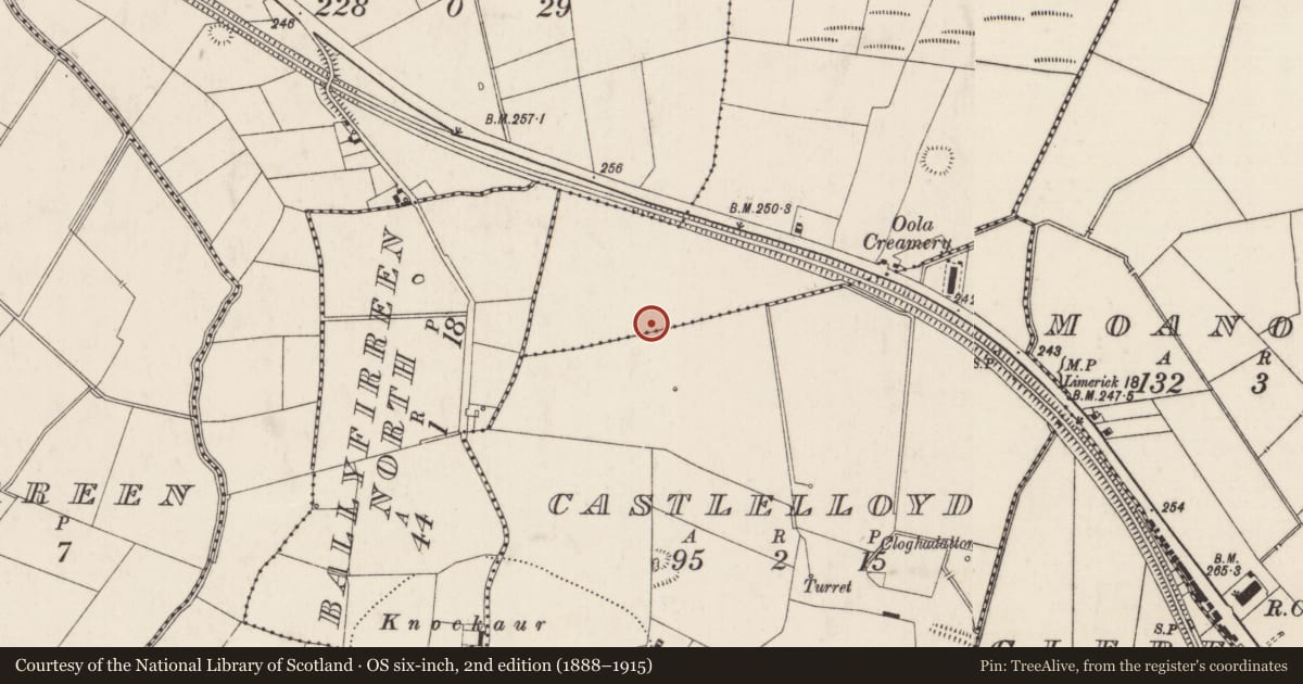 Ordnance Survey six-inch map, 2nd edition (1888–1915) covering the location of Field system, Castlelloyd, Garryduff, County Limerick, with a pin at the register's coordinates