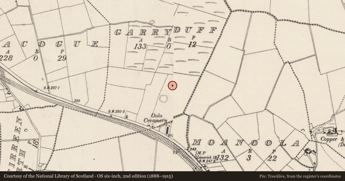 Ordnance Survey six-inch map, 2nd edition (1888–1915) covering the location of Field system, Garryduff, County Limerick, with a pin at the register's coordinates