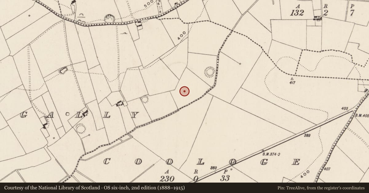 Ordnance Survey six-inch map, 2nd edition (1888–1915) covering the location of Barrow - ring-barrow, Ballynagally, County Limerick, with a pin at the register's coordinates