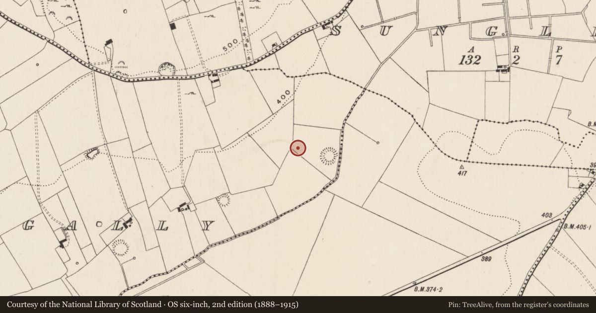 Ordnance Survey six-inch map, 2nd edition (1888–1915) covering the location of Barrow - ring-barrow, Ballynagally, County Limerick, with a pin at the register's coordinates