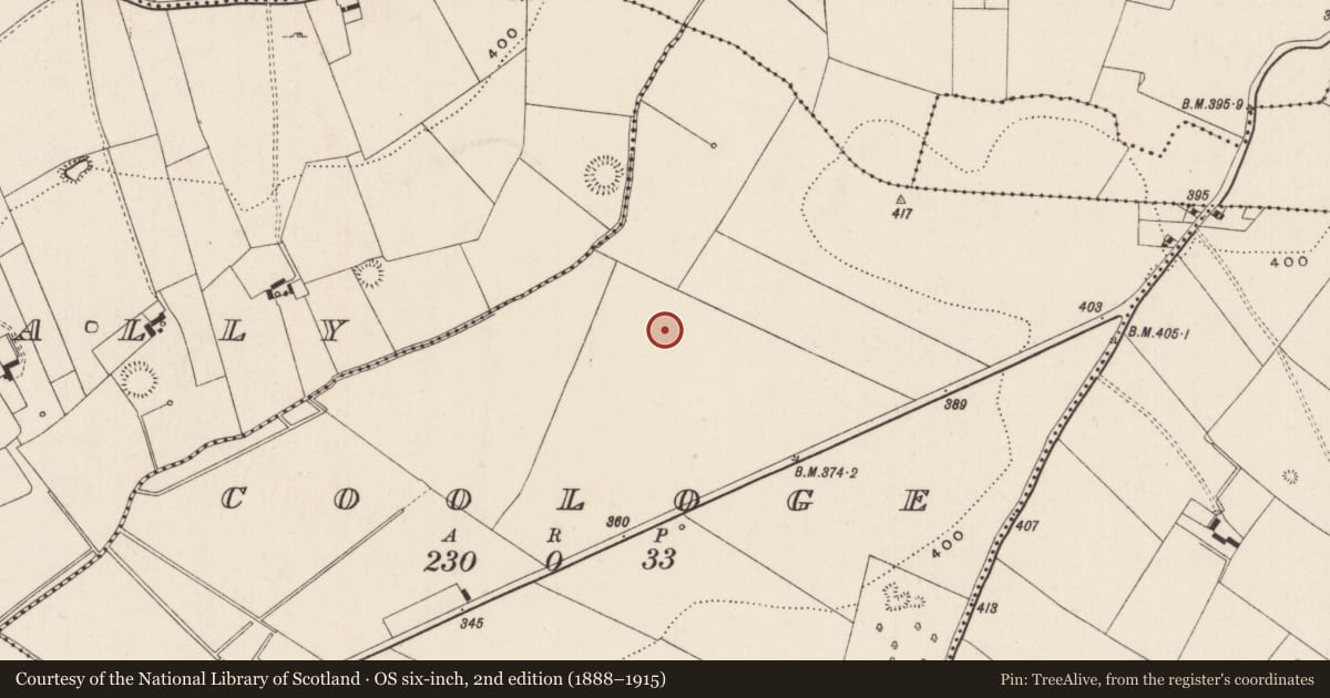 Ordnance Survey six-inch map, 2nd edition (1888–1915) covering the location of Barrow - ring-barrow, Coologe, County Limerick, with a pin at the register's coordinates