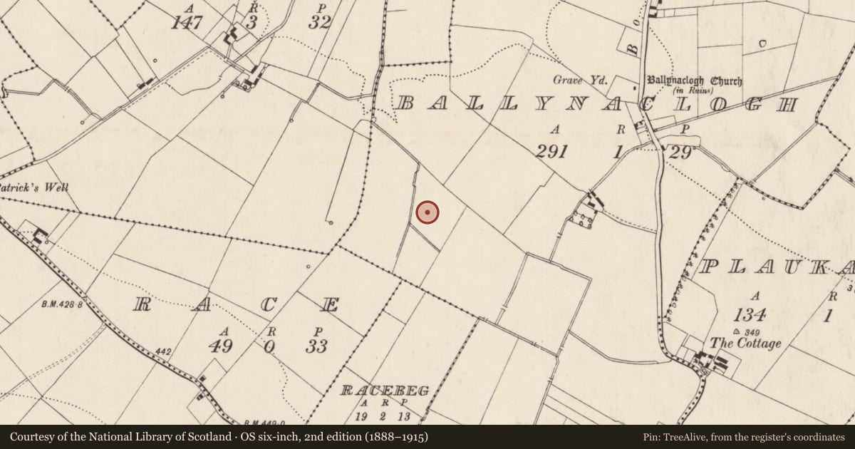Ordnance Survey six-inch map, 2nd edition (1888–1915) covering the location of Barrow - ditch barrow, Ballynaclogh, County Limerick, with a pin at the register's coordinates