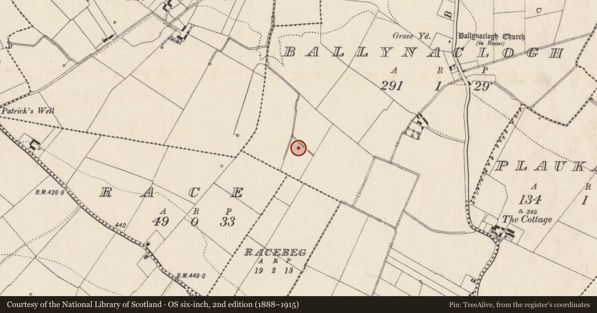 Ordnance Survey six-inch map, 2nd edition (1888–1915) covering the location of Enclosure, Ballynaclogh, County Limerick, with a pin at the register's coordinates