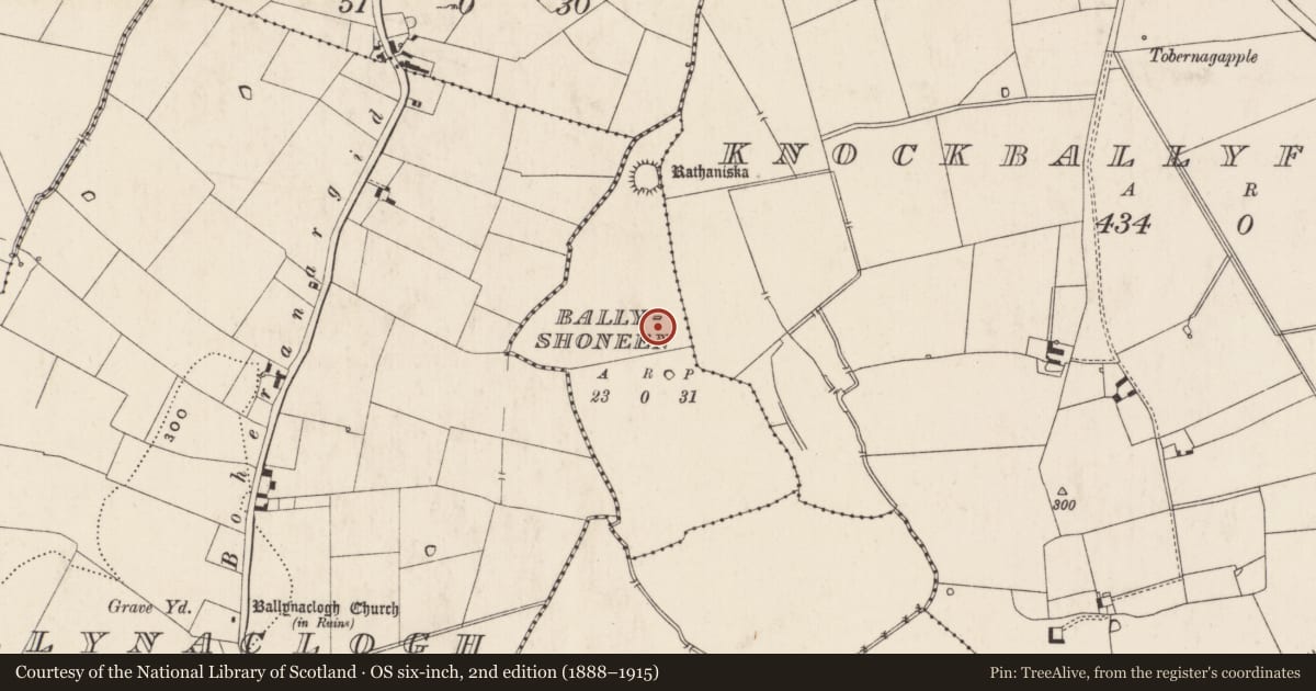 Ordnance Survey six-inch map, 2nd edition (1888–1915) covering the location of Enclosure, Ballyshoneen, County Limerick, with a pin at the register's coordinates