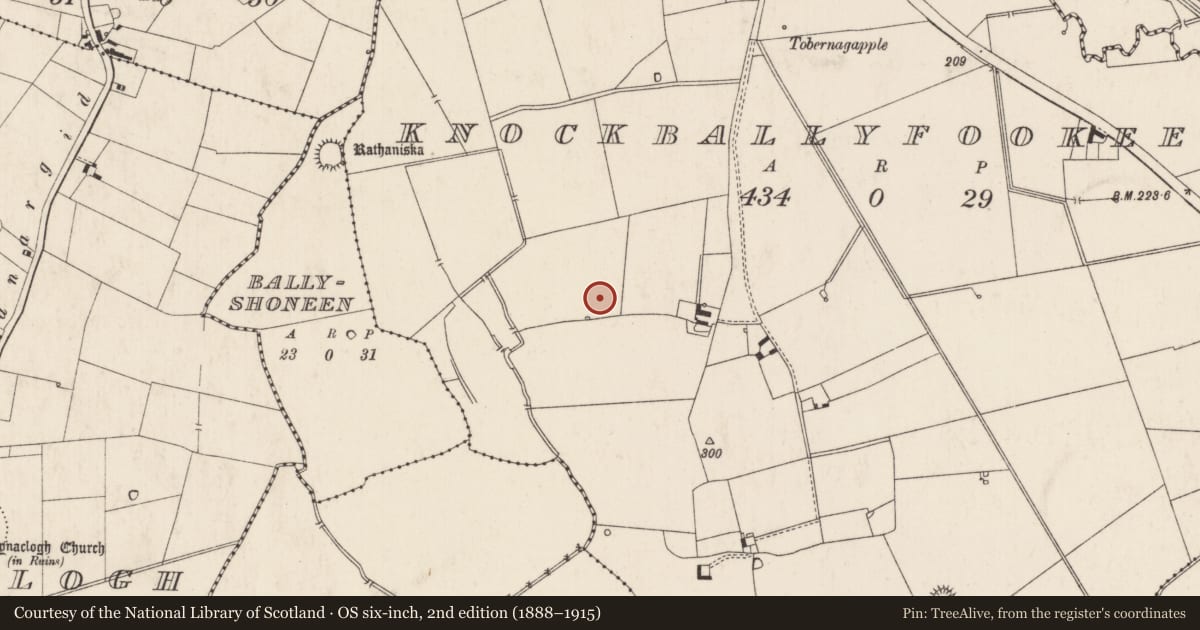 Ordnance Survey six-inch map, 2nd edition (1888–1915) covering the location of Mound, Knockballyfookeen, County Limerick, with a pin at the register's coordinates