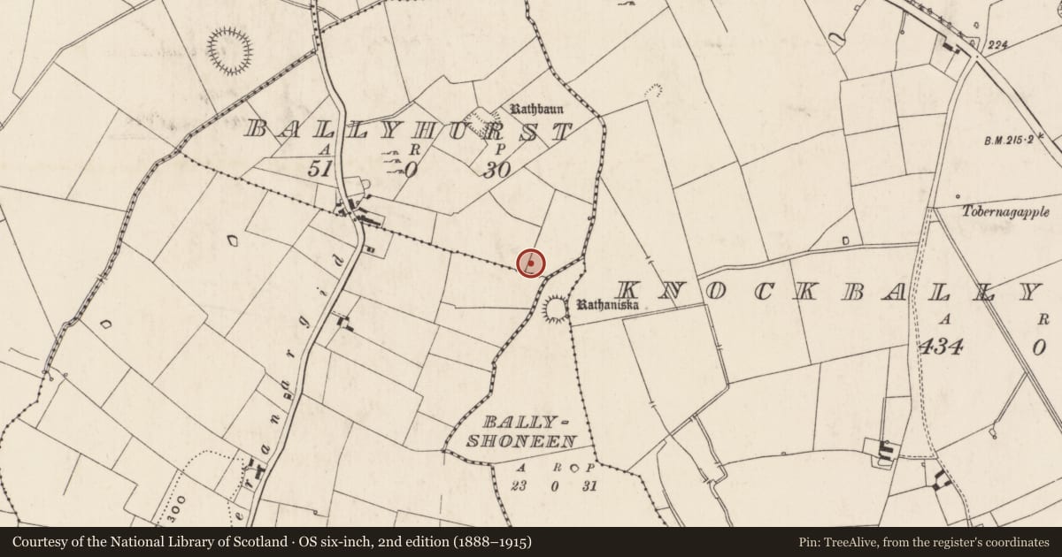 Ordnance Survey six-inch map, 2nd edition (1888–1915) covering the location of Enclosure, Ballyhurst, County Limerick, with a pin at the register's coordinates