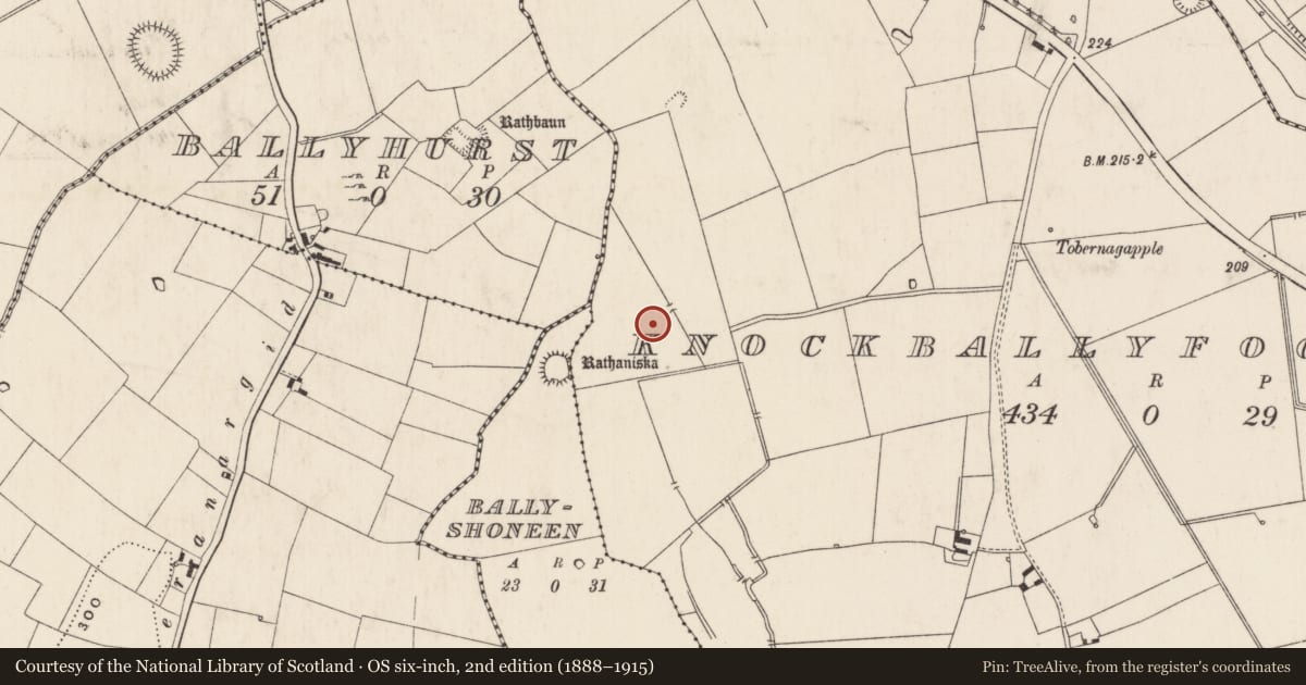 Ordnance Survey six-inch map, 2nd edition (1888–1915) covering the location of Barrow - ditch barrow, Knockballyfookeen, County Limerick, with a pin at the register's coordinates